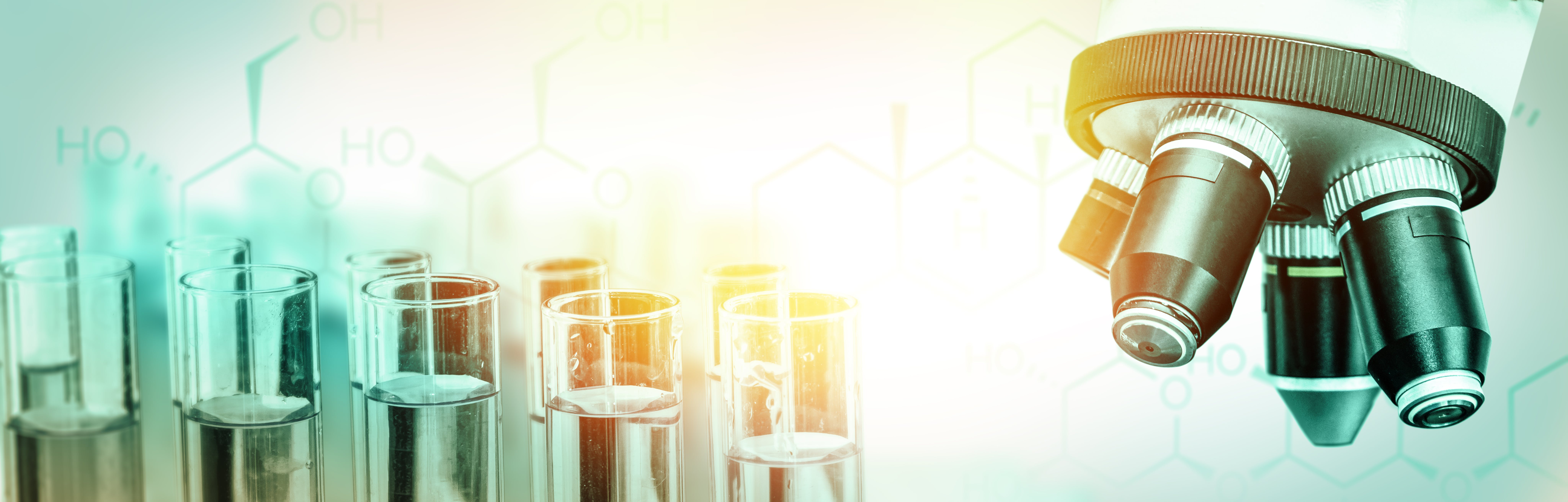 65bad00587d6b1001efe38e3 Dreamstime Xxl 173575314 1