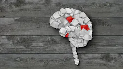 65dcb287465e56001e8356ac Dreamstime Xxl 293000894 1 65dcb287465e56001e8356ac Dreamstime Xxl 293000894 1