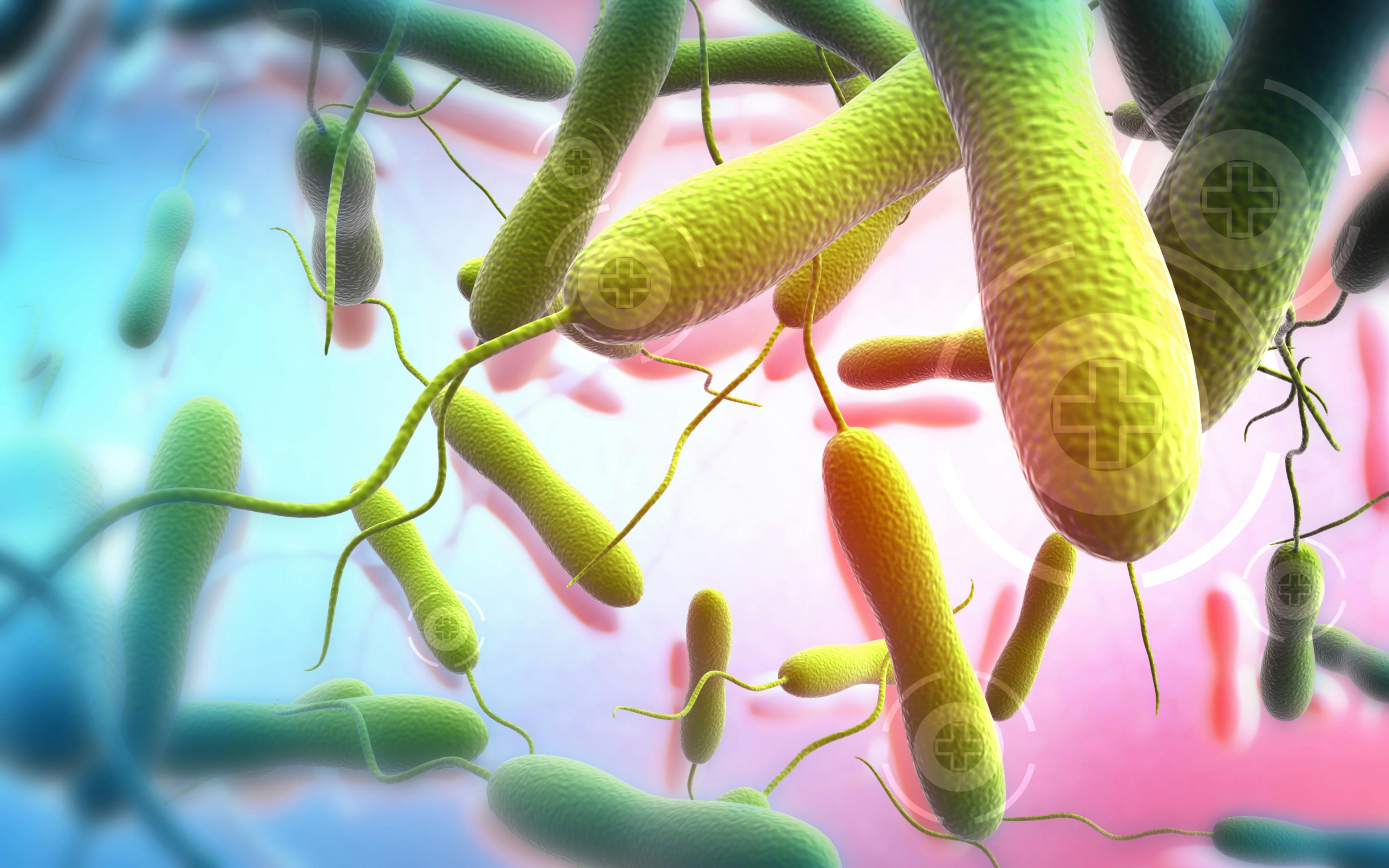 66100e9951cea7001efbe859 Dreamstime Xxl 47117779