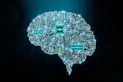 66140b437376c2001ee04483 Dreamstime Xxl 150055541 66140b437376c2001ee04483 Dreamstime Xxl 150055541