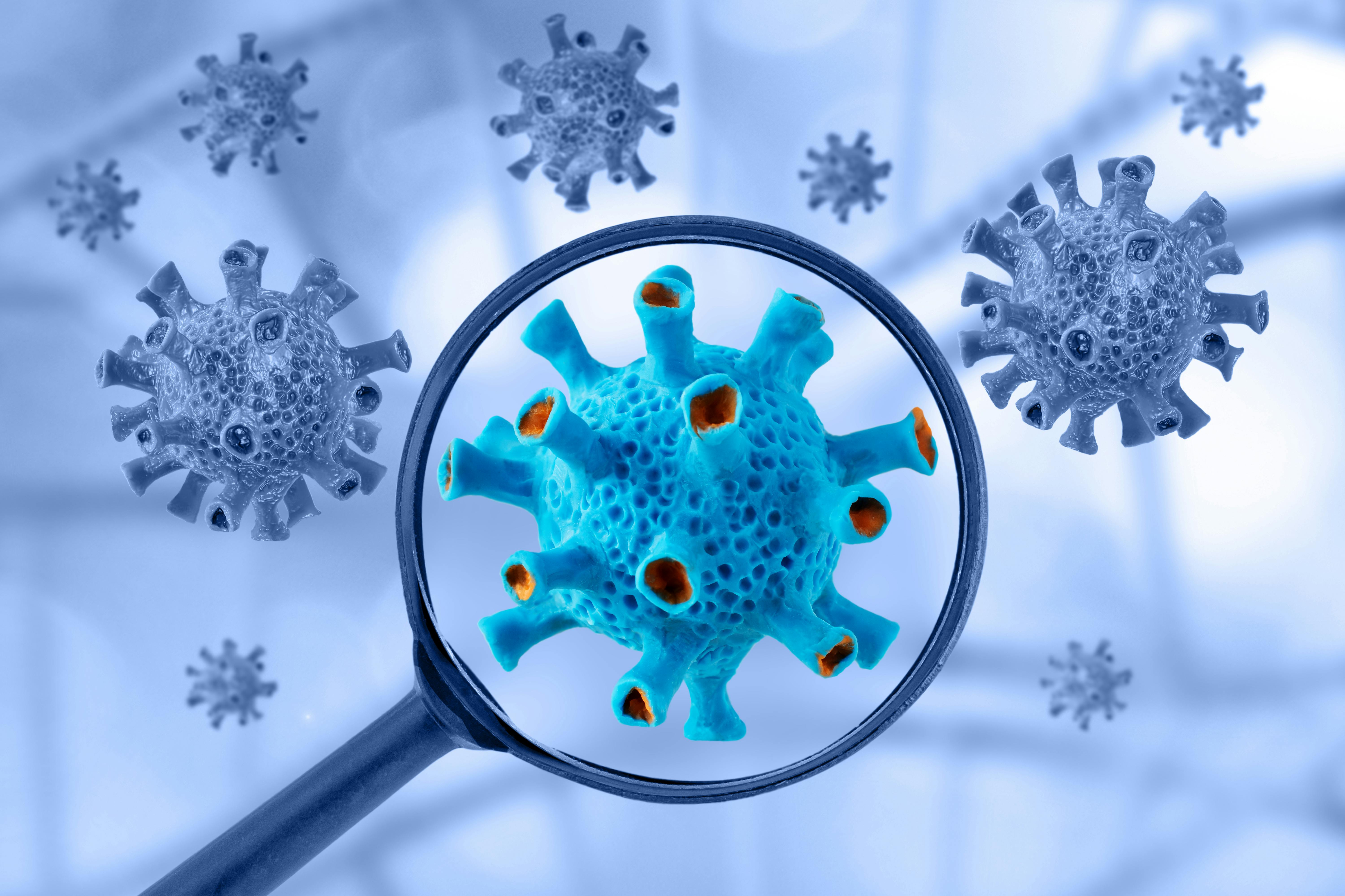 66588a02a7de9cca7412f779 Dreamstime Xxl 177655691 1