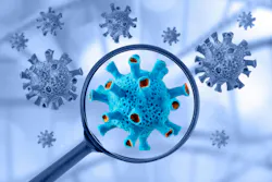 66588a02a7de9cca7412f779 Dreamstime Xxl 177655691 1 66588a02a7de9cca7412f779 Dreamstime Xxl 177655691 1