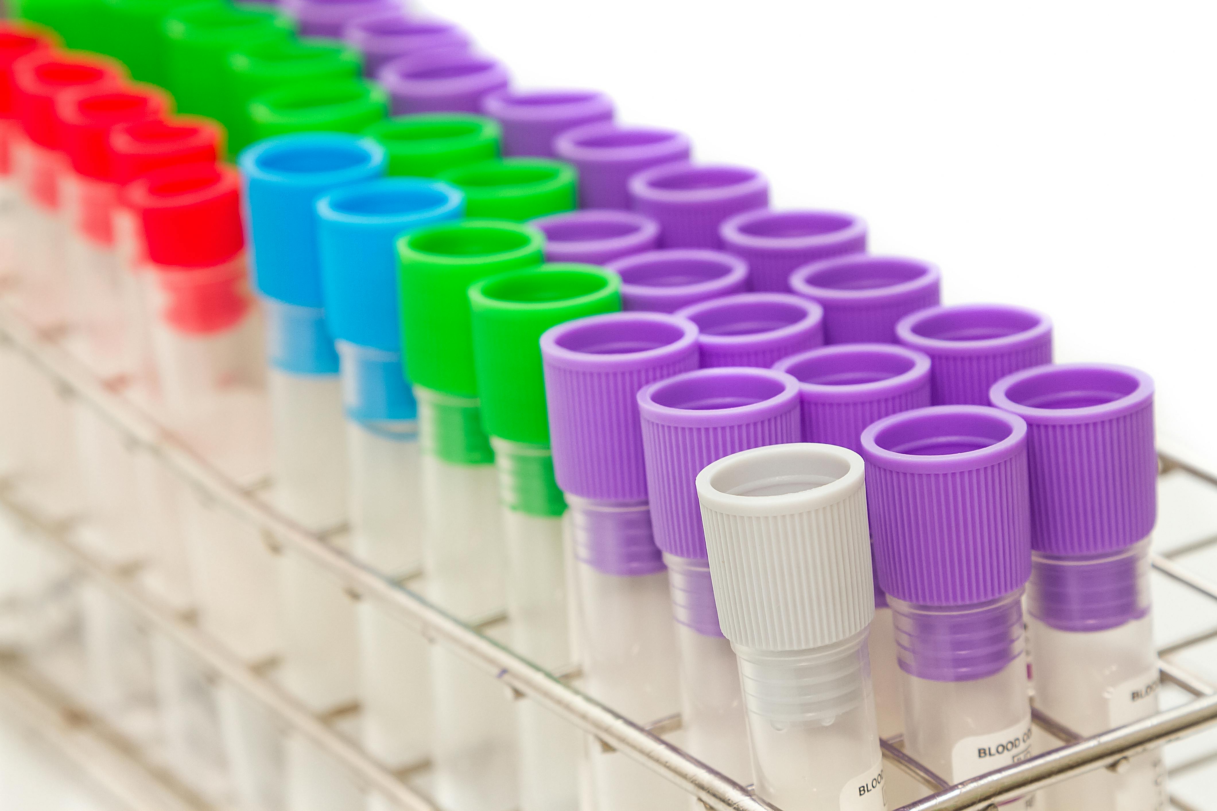 dreamstime_xxl_55304069