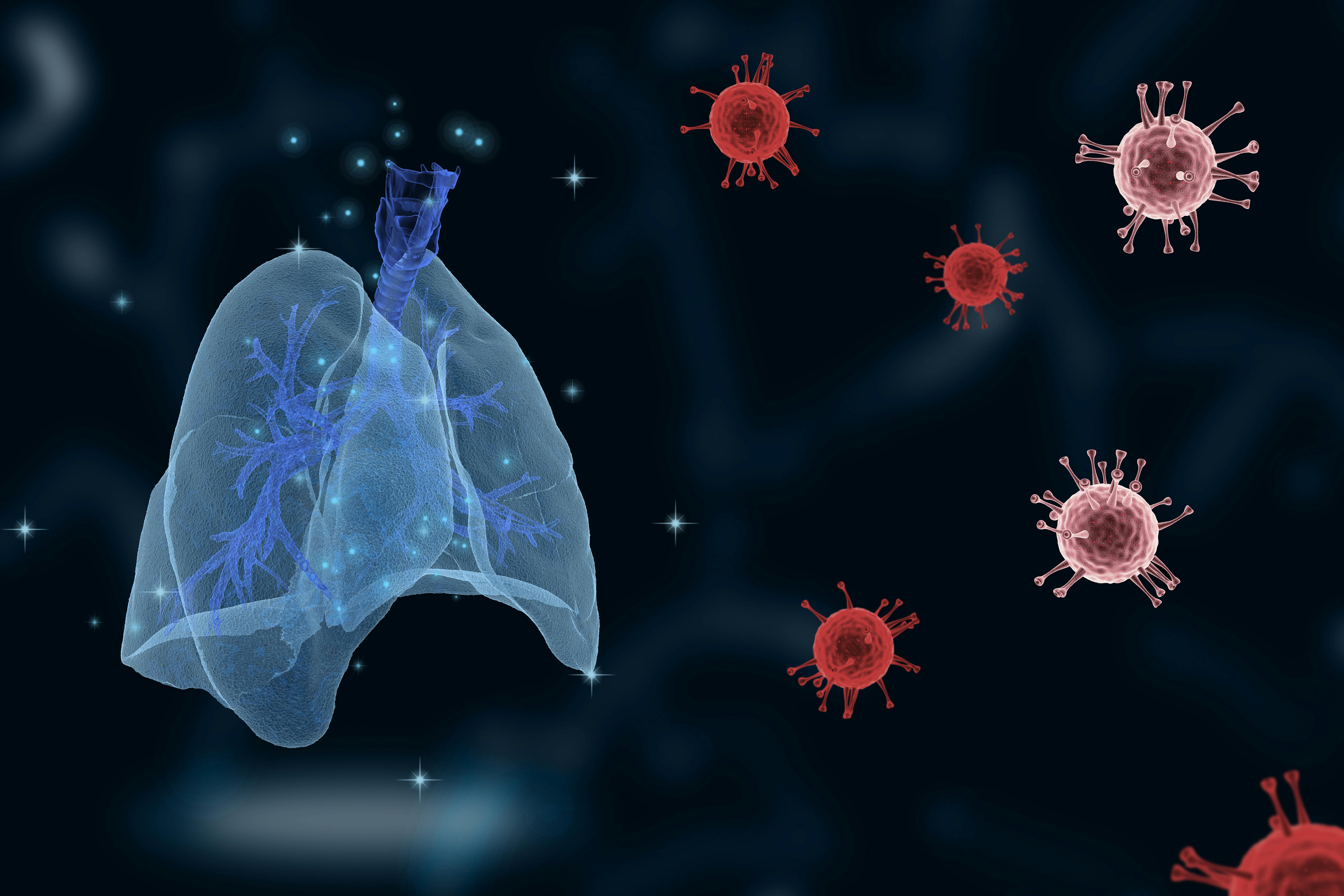 667ad6e1fb1e75134a63e909 Dreamstime Xxl 179197322