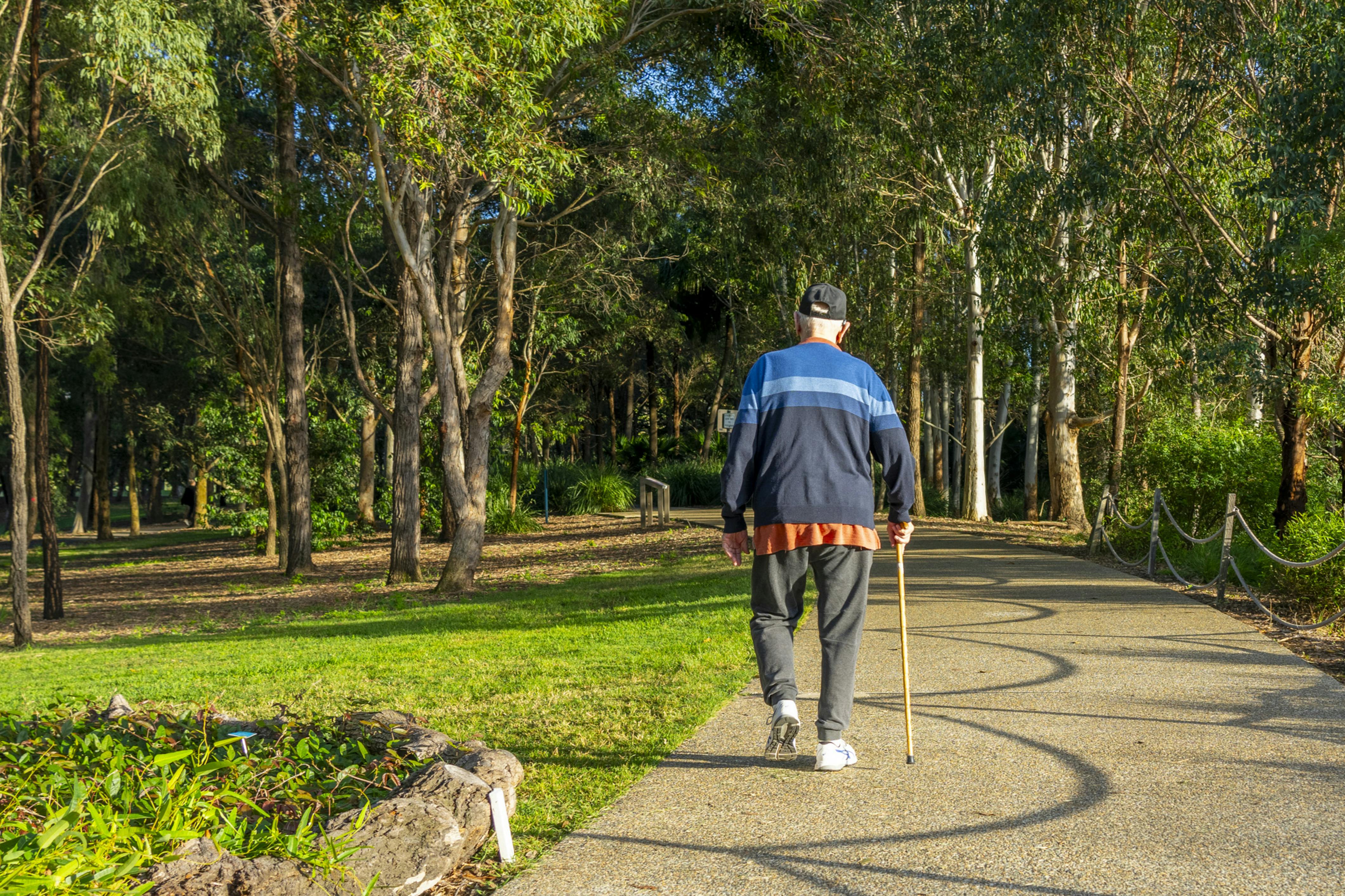 668d3dda28ede4bc59c204e7 Dreamstime Xxl 322127423