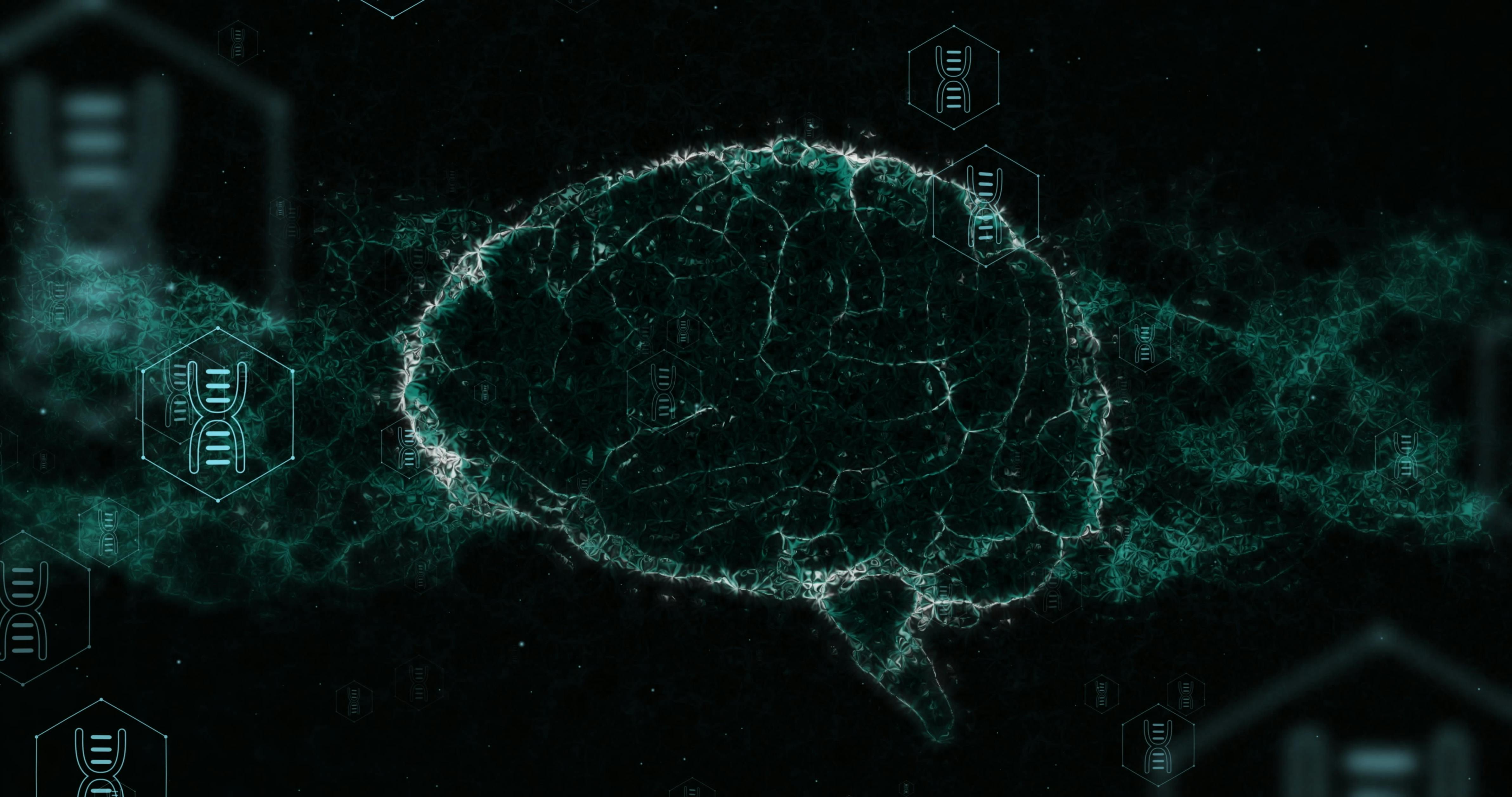 6696d847e3d5297902f8f8d0 Dreamstime Xxl 310752765