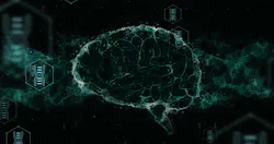 6696d847e3d5297902f8f8d0 Dreamstime Xxl 310752765 6696d847e3d5297902f8f8d0 Dreamstime Xxl 310752765