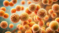 dreamstime_xxl_323621432 dreamstime_xxl_323621432