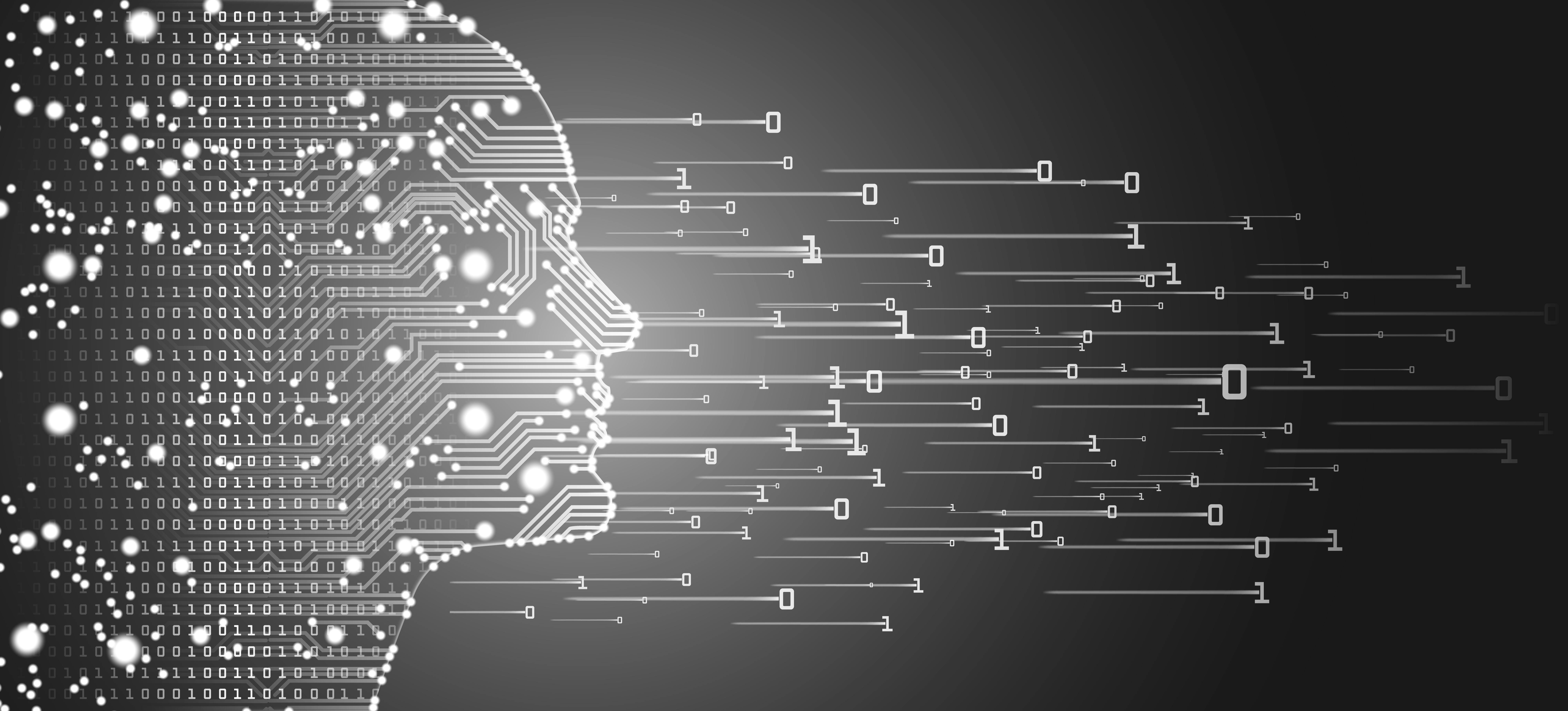 66a952dbbb47754a0f20ce79 Dreamstime Xxl 115899431