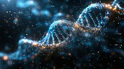 66b24fcd14b051872fc8b113 Dreamstime Xxl 309524910 66b24fcd14b051872fc8b113 Dreamstime Xxl 309524910