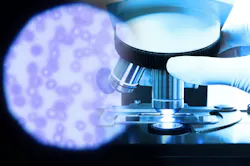 66b37f6885b0ba5abfe1494d Dreamstime Xxl 95555719 66b37f6885b0ba5abfe1494d Dreamstime Xxl 95555719