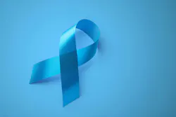 66c74d5c418fc5f8ea7b30cf Dreamstime Xxl 330704343 66c74d5c418fc5f8ea7b30cf Dreamstime Xxl 330704343