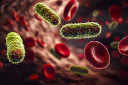 66fc06229cd96583a1fa7452 Dreamstime Xxl 336482989 66fc06229cd96583a1fa7452 Dreamstime Xxl 336482989