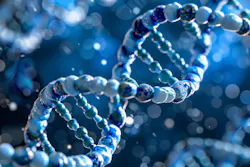 6720e764226b3b30d8ad7e66 Dreamstime Xxl 322970799 6720e764226b3b30d8ad7e66 Dreamstime Xxl 322970799