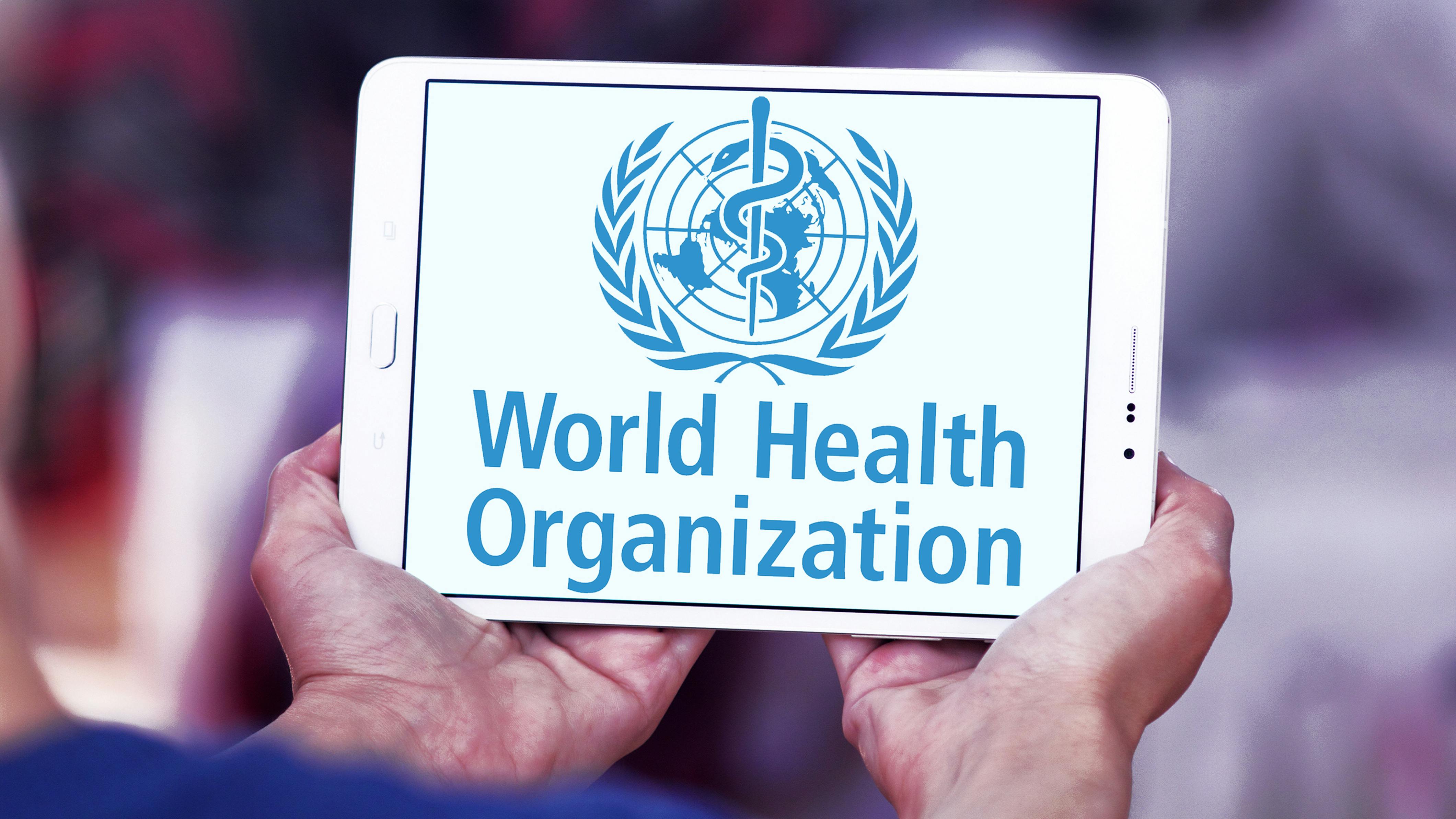 6792684578edeedd7e3e3029 Dreamstime Xxl 99173299