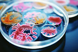 67bddd0328e452dadc2e36c4 Dreamstime Xxl 317078522 67bddd0328e452dadc2e36c4 Dreamstime Xxl 317078522