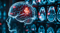 67bddeb2d744dcd2e61eff3b Adobestock 1134088708 67bddeb2d744dcd2e61eff3b Adobestock 1134088708