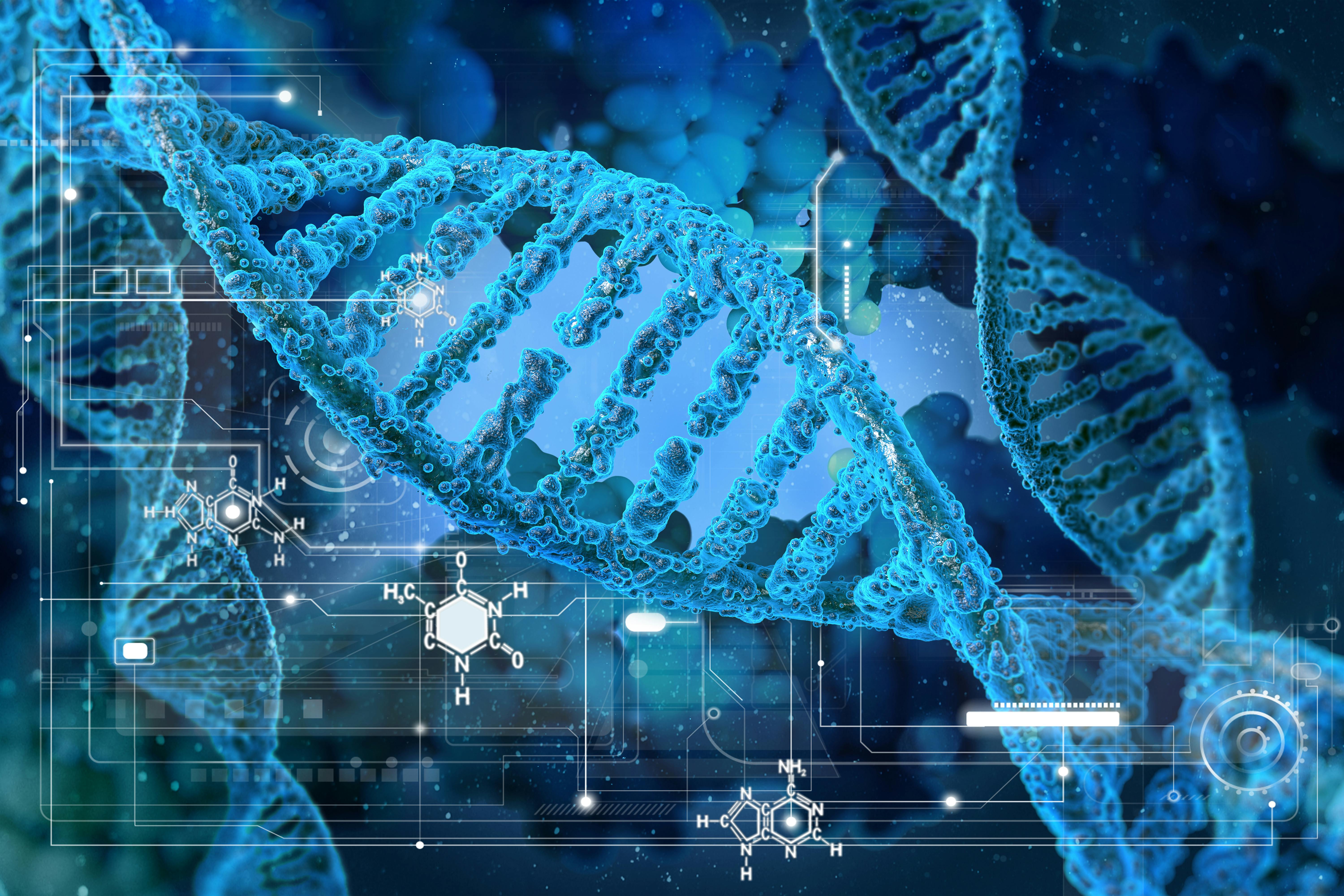 67c8767130e7a4300c877232 Dreamstime Xxl 61156402