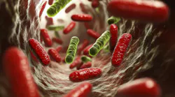 dreamstime_xxl_336482967 dreamstime_xxl_336482967