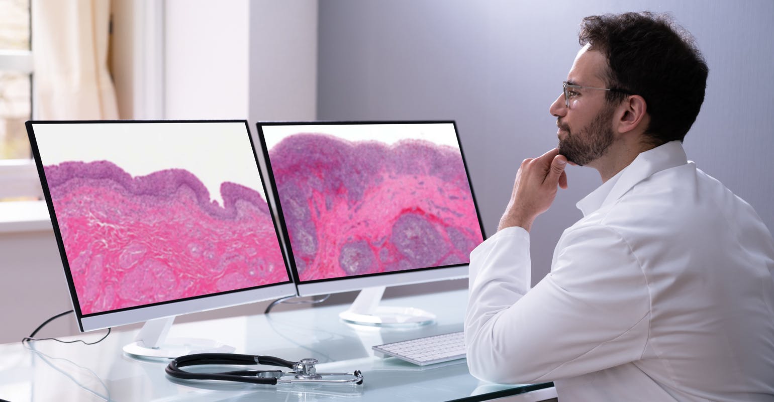 680b2478d1091052bf74b08f Orchard Software Digital Pathology Wp Pn