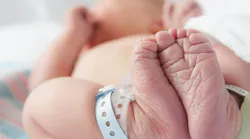 dreamstime_xxl_56463226 dreamstime_xxl_56463226