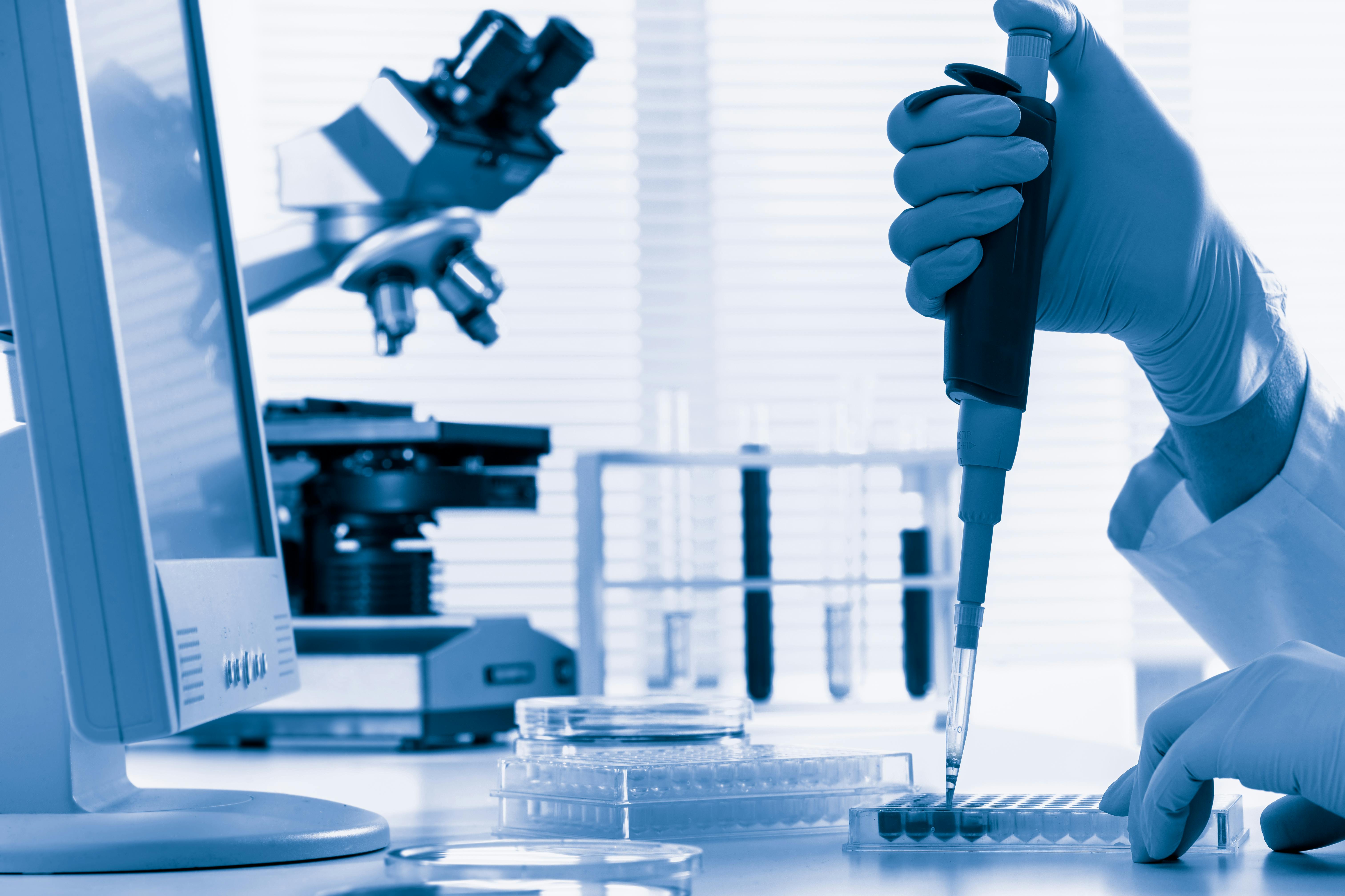 dreamstime_xxl_35271829