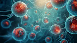 6839c496d8eda5b2bfe8aa99 Adobestock 785640358 6839c496d8eda5b2bfe8aa99 Adobestock 785640358