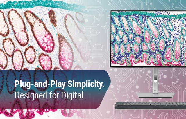 6880f31082307be154c8547d Chromplex Iii Promo Banner 640x410