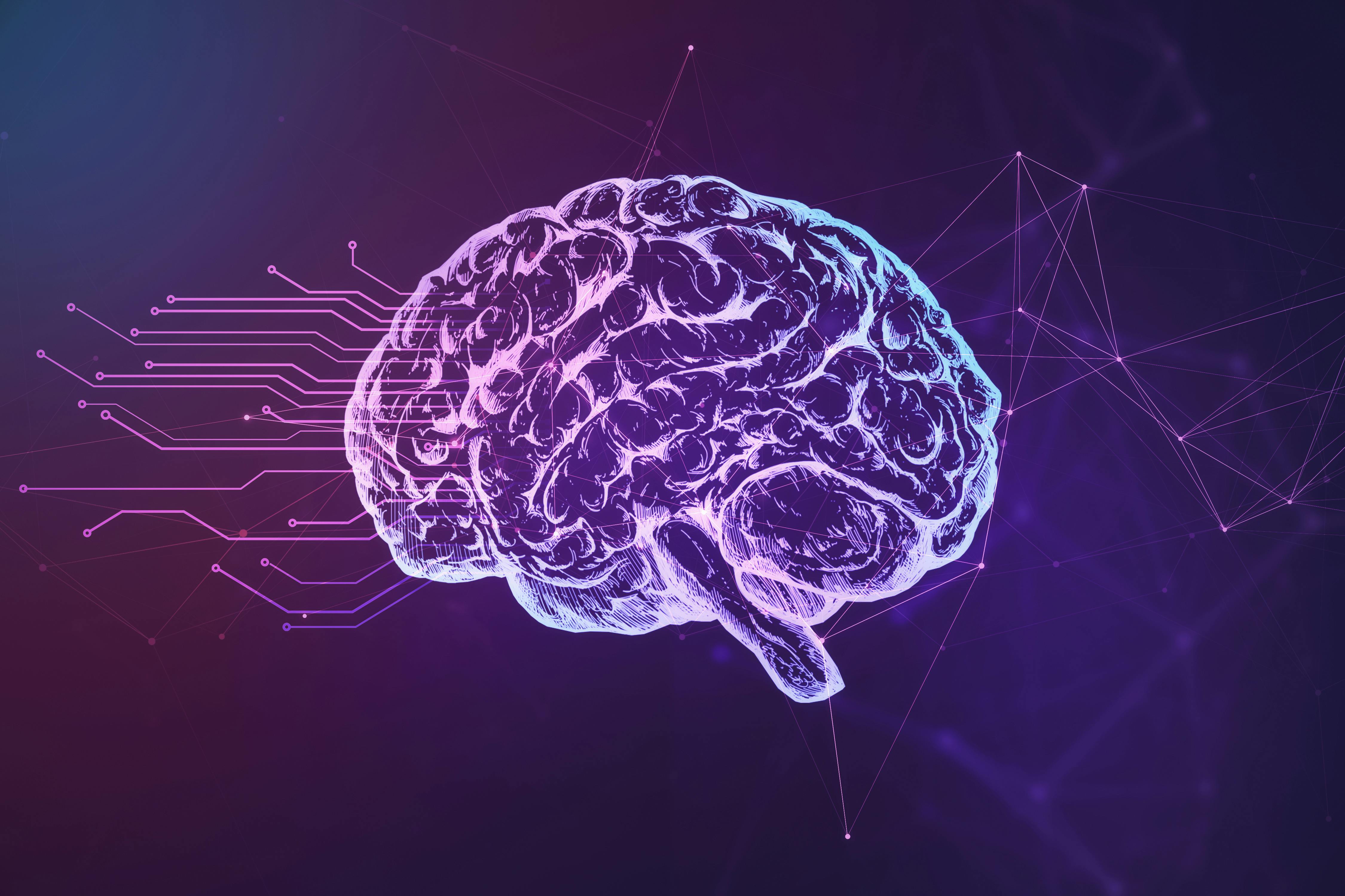 689609f6a5a8ce6ae337cdc1 Adobestock 376409390