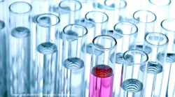 labsamplegraphicsdrugeb labsamplegraphicsdrugeb