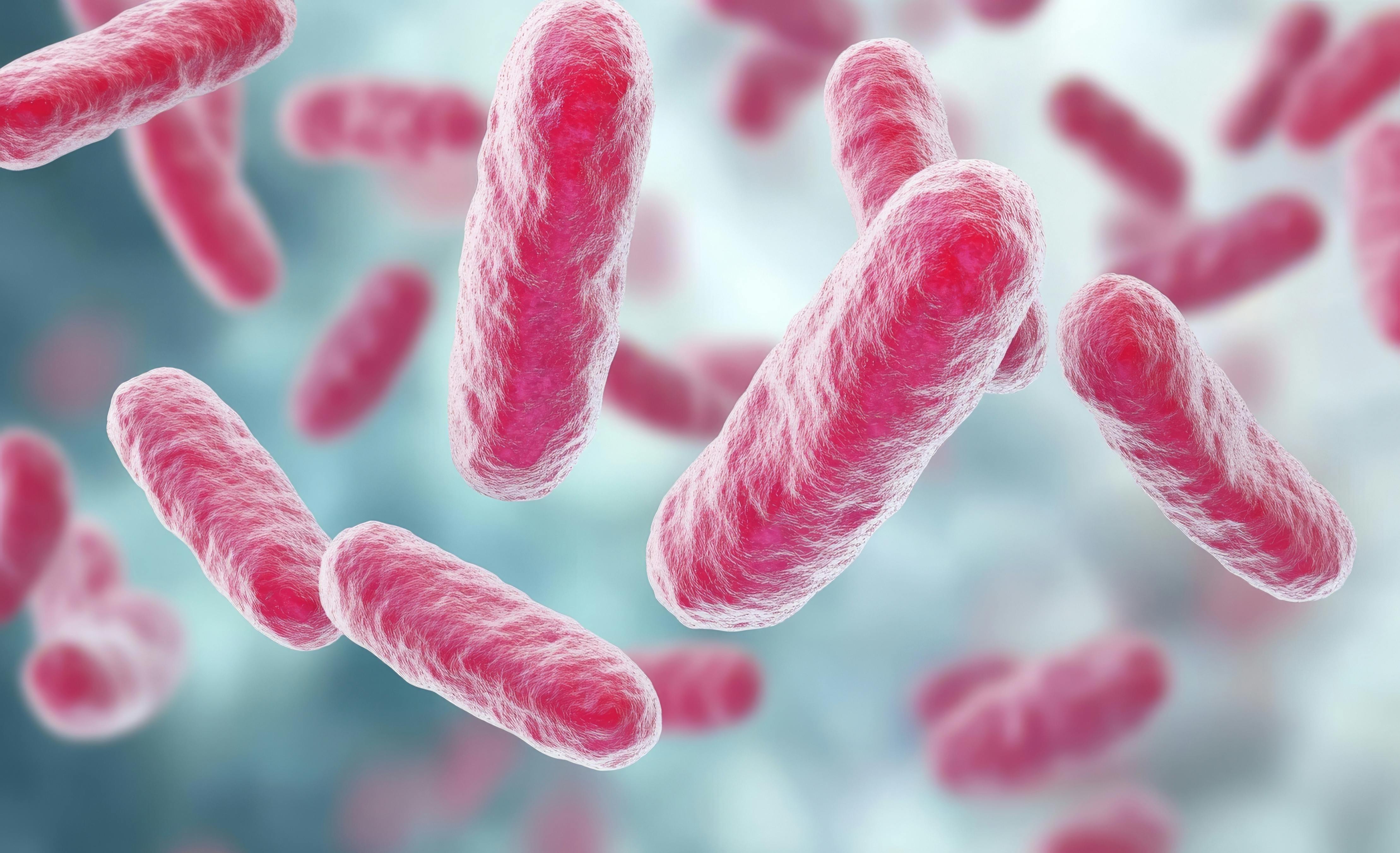 dreamstime_xxl_370302281