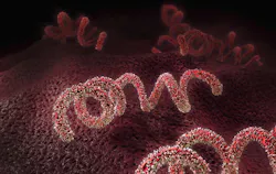 68b9a4edd313344f30ecdbd4 Dreamstime Xxl 120764078 68b9a4edd313344f30ecdbd4 Dreamstime Xxl 120764078