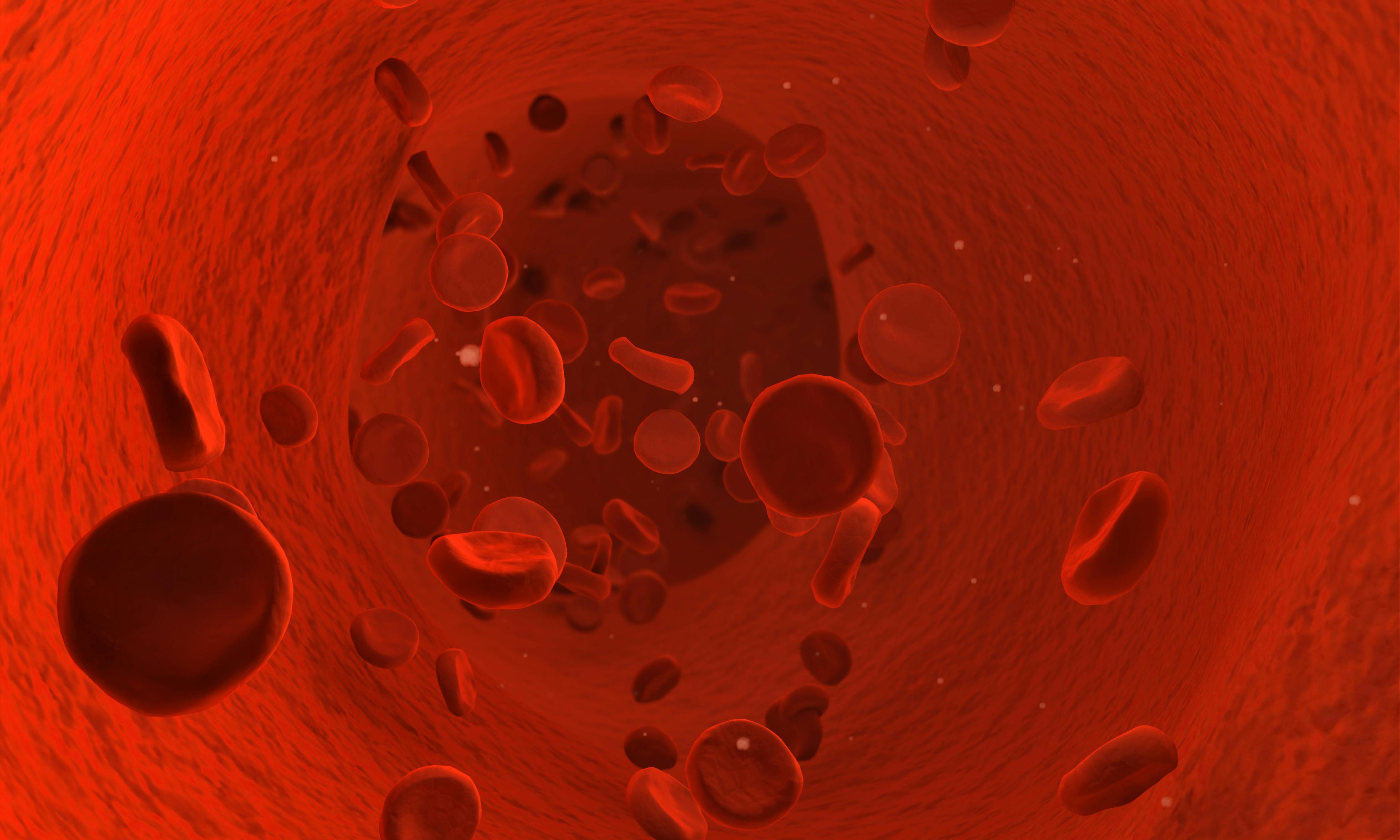 dreamstime_xxl_4235368