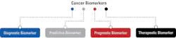 Figure 1. Based on their use, cancer biomarkers can be broadly classified as shown.2 Figure 1. Based on their use, cancer biomarkers can be broadly classified as shown.2
