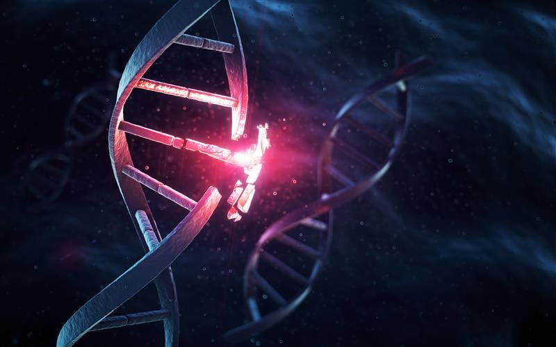 68d55d51235d5394489b61c6 2503ogt22sep Fda Authorizes Ogt Companion Diagnost