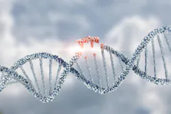 68e91685299d3327de6dfd06 Dreamstime Xxl 278230290 68e91685299d3327de6dfd06 Dreamstime Xxl 278230290