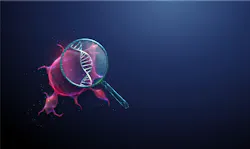 695fcb9b61bb50a70d855f08 Adobestock 1744055346 695fcb9b61bb50a70d855f08 Adobestock 1744055346