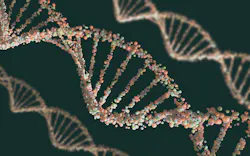 69987e7b5c1042201fb00748 Dreamstime Xxl 44896137 69987e7b5c1042201fb00748 Dreamstime Xxl 44896137