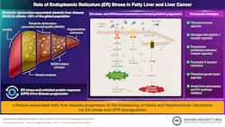 699891f73a42cdf68813fc1d Image 1 699891f73a42cdf68813fc1d Image 1