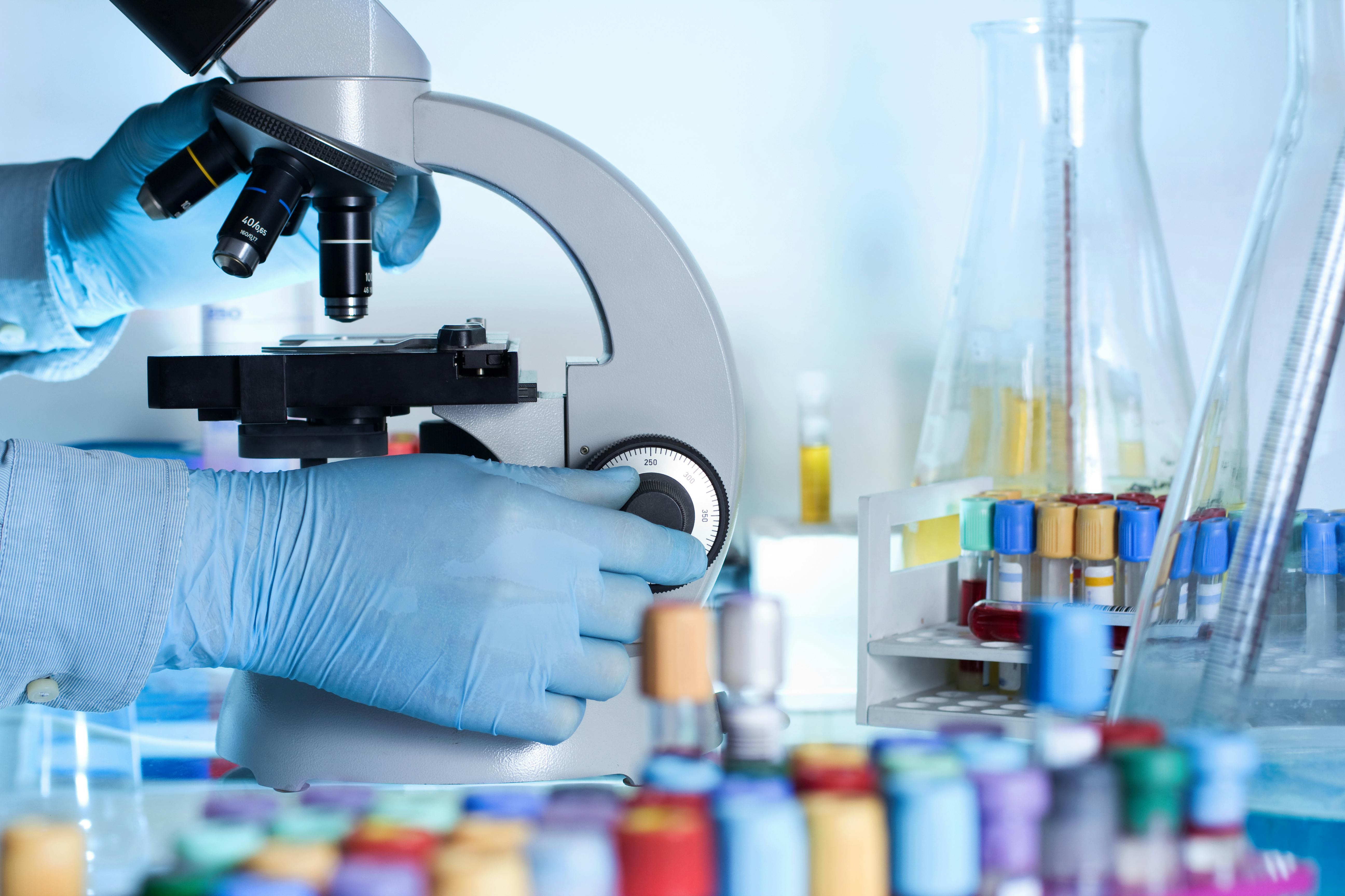 dreamstime_xxl_52850755