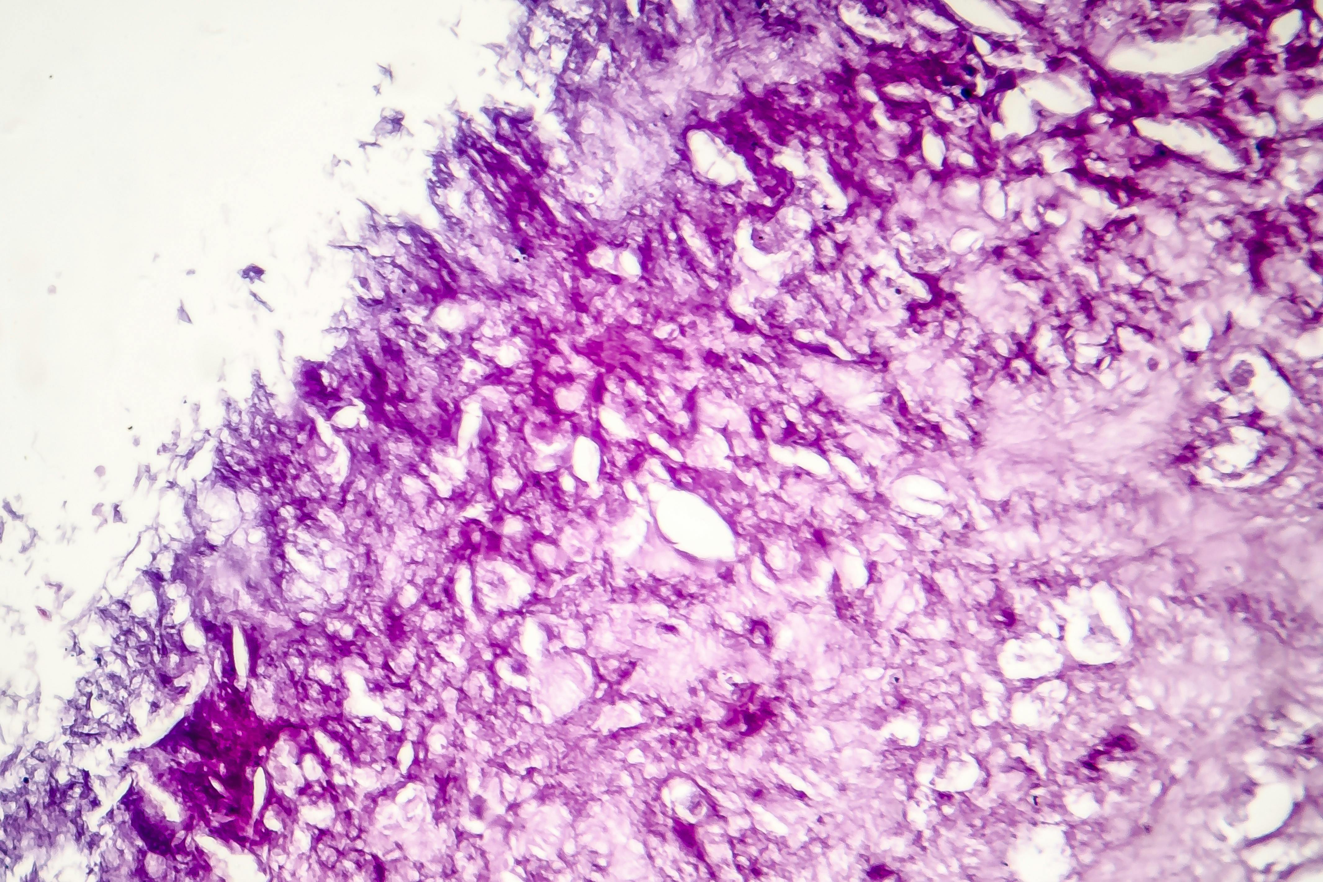 69b81d20d335ba5facd9d22f Dreamstime Xxl 128779033