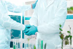 69babb2732b628f88ba80d71 Dreamstime Xxl 171363555 69babb2732b628f88ba80d71 Dreamstime Xxl 171363555