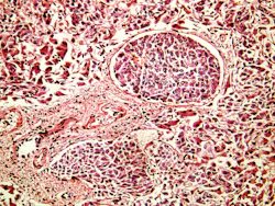 69babd520fa65a753ea16297 Dreamstime Xxl 29670818 69babd520fa65a753ea16297 Dreamstime Xxl 29670818