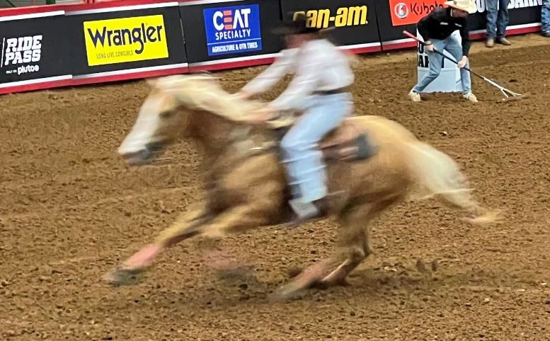 1672948664410 Ceatrodeo