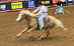 1672948664410 Ceatrodeo 1672948664410 Ceatrodeo