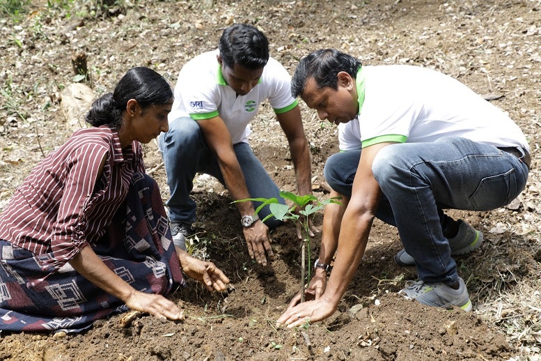 1672952611293 Grirubbertreeplantingweb