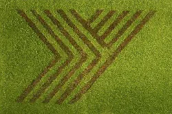 1673047001769 Yokohamadisplayslivingwallinla 1673047001769 Yokohamadisplayslivingwallinla