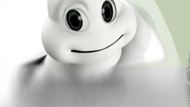 1673047423209 Michelin73incometosalesratio