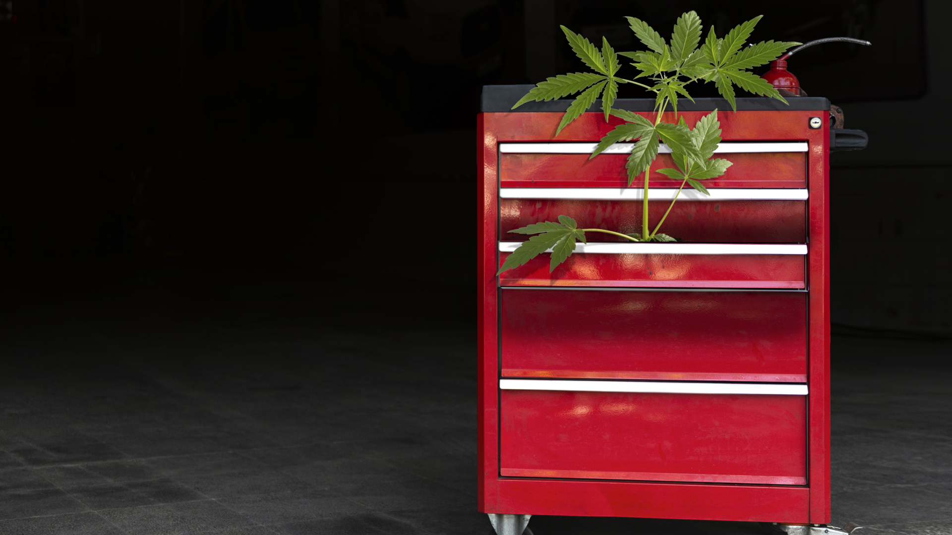 Marijuana remains illegal under federal law. But it is apparent that Congress does not want to weigh in on federal regulations regarding marijuana. They prefer that states regulate the use of marijuana, which continues to confuse employers, employees and consumers.