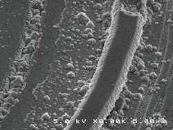 Beta Mwrf Com Sites Mwrf com Files Liu Fig12 Beta Mwrf Com Sites Mwrf com Files Liu Fig12